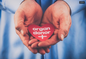 Become An Organ Donor