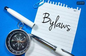 What Are Bylaws In the United States