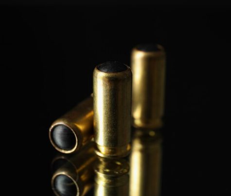 Barrels Ahead The Evolving Landscape Of The Firearms Industry