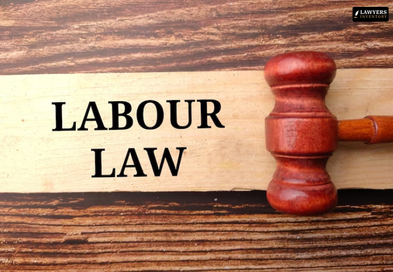 What Is Labour Law?