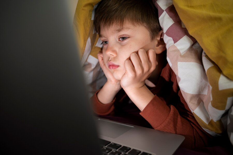 How A Lawyer Can Help In Online Child Abuse Cases