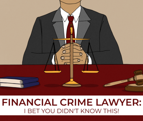 financial crime lawyer