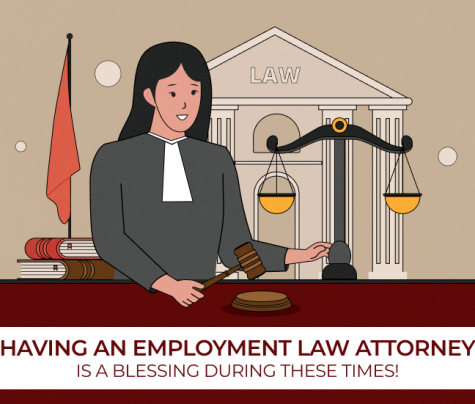 Employment Law Attorney