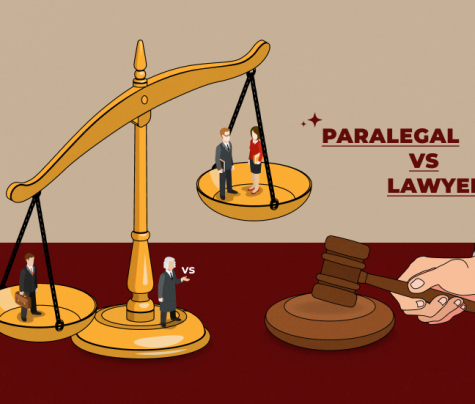 Paralegal vs Lawyer