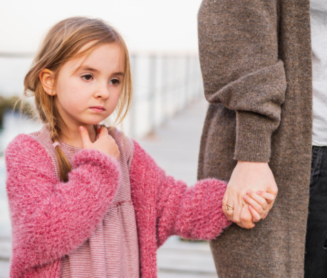 child custody myths