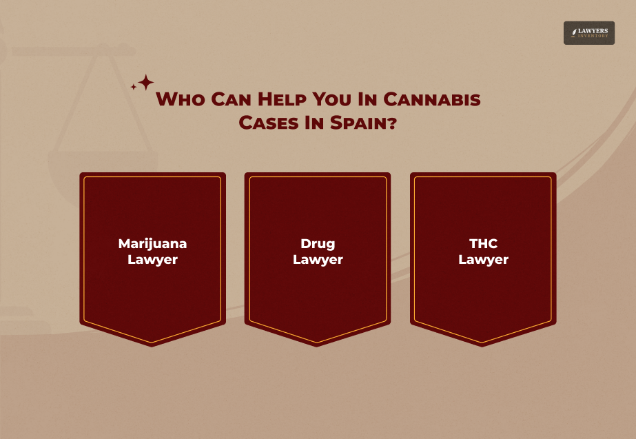 Which Lawyer Can Help You With Cannabis Cases in Spain