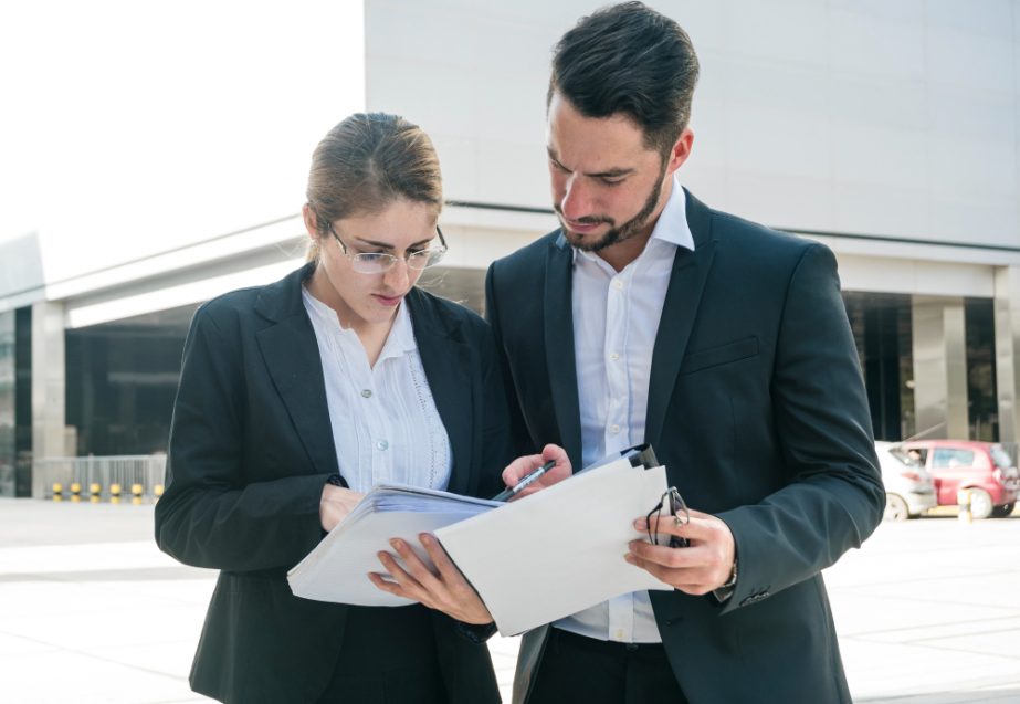 building code compliance expert witness