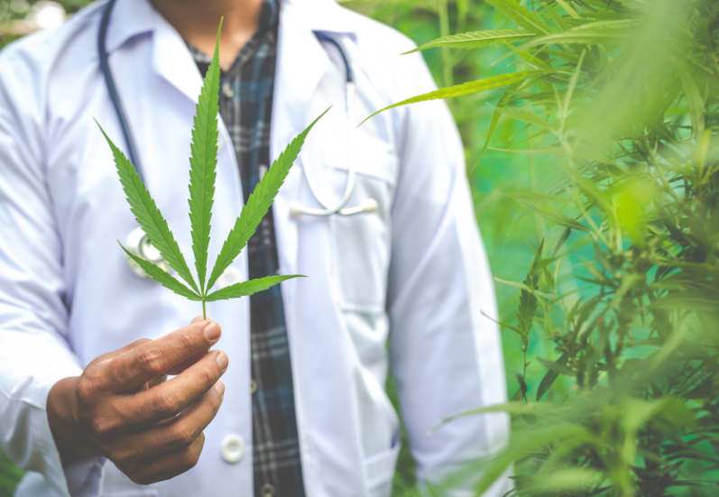 intellectual Property Protection in the Cannabis Industry