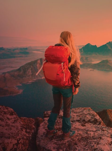 lawyers firm card image