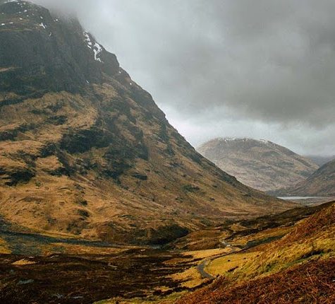 lawyers firm card image