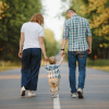 Understanding Family Law: Divorce, Custody, and Support for Women