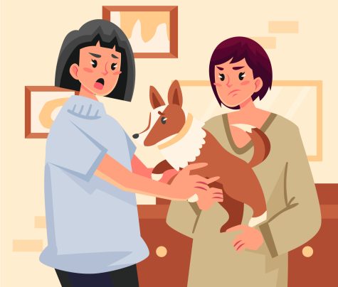 Dog bite laws
