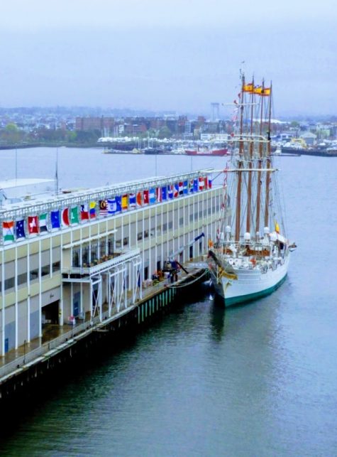 lawyers firm card image