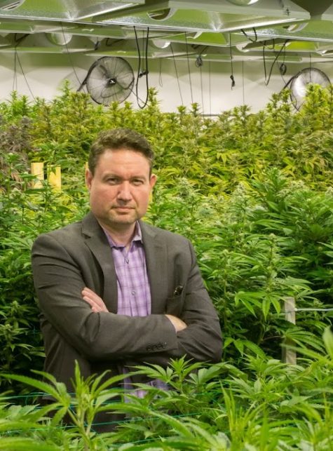 lawyers firm card image