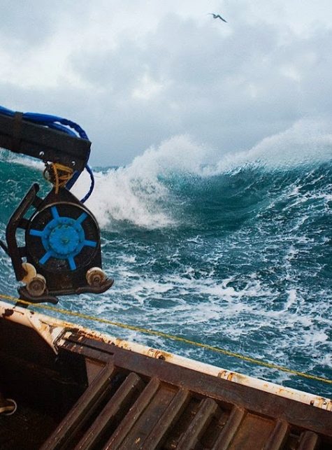 lawyers firm card image