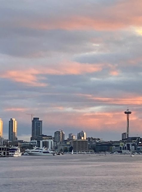 lawyers firm card image