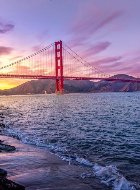 lawyers firm card image