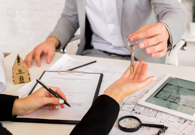 property division in divorce