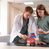 Finding The Best Cardiologist In Los Angeles: Key Factors To Consider