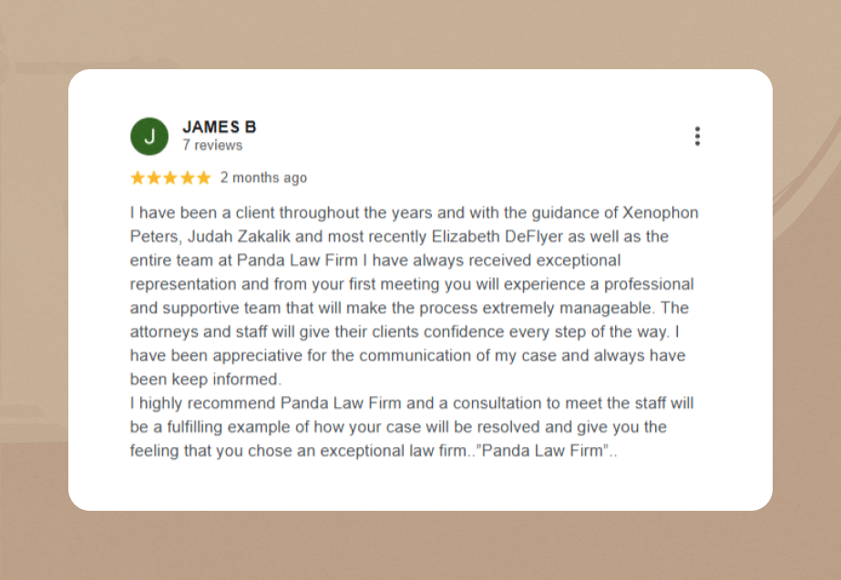 panda law firm gmb review 2