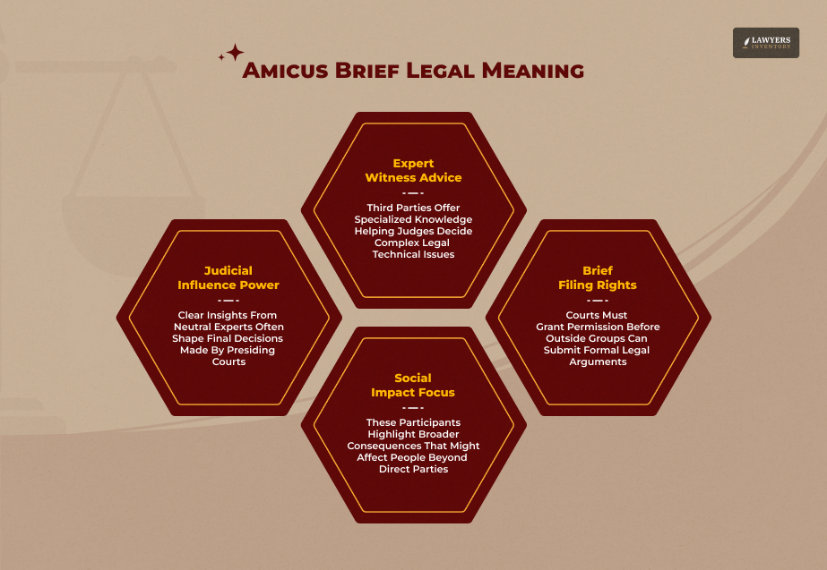 The Definition And Power Of Amicus Curiae Participation