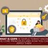 What Is GDPR In Simple Terms? Know The Core Principles And How You Can Apply Them