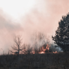 What To Do Legally After A Wildfire: A Step-By-Step Guide For Victims