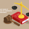 What Is The Meaning Of Commuting A Sentence In Law?