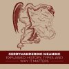 Gerrymandering Meaning Explained: History, Types, And Why It Matters