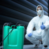 Who Is Responsible For Pest Problems In Dallas Rental Properties