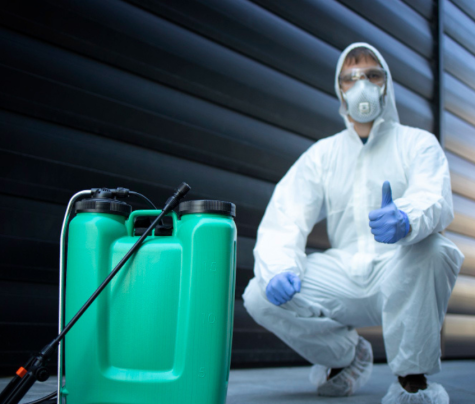 Who Is Responsible For Pest Control When Renting